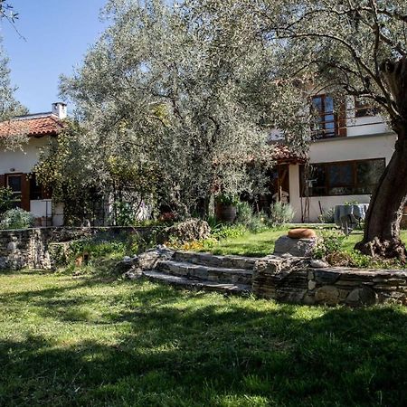 Piges Villa Milina Ngoại thất bức ảnh