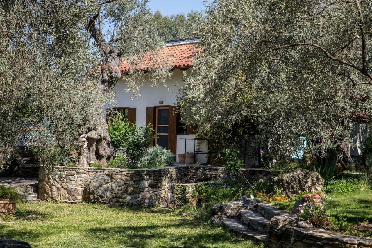 Piges Villa Milina Ngoại thất bức ảnh